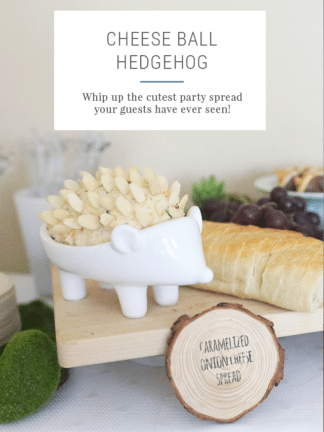 Cheese Ball Hedgehog Recipe thumbnail