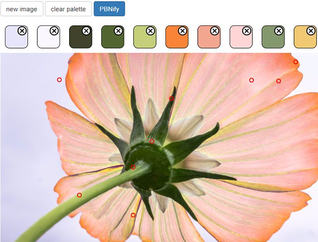 Create Personalized Paint by Numbers