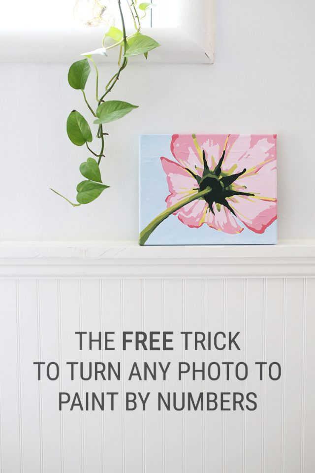 The Free Trick for How to Turn a Photo into Paint by Numbers