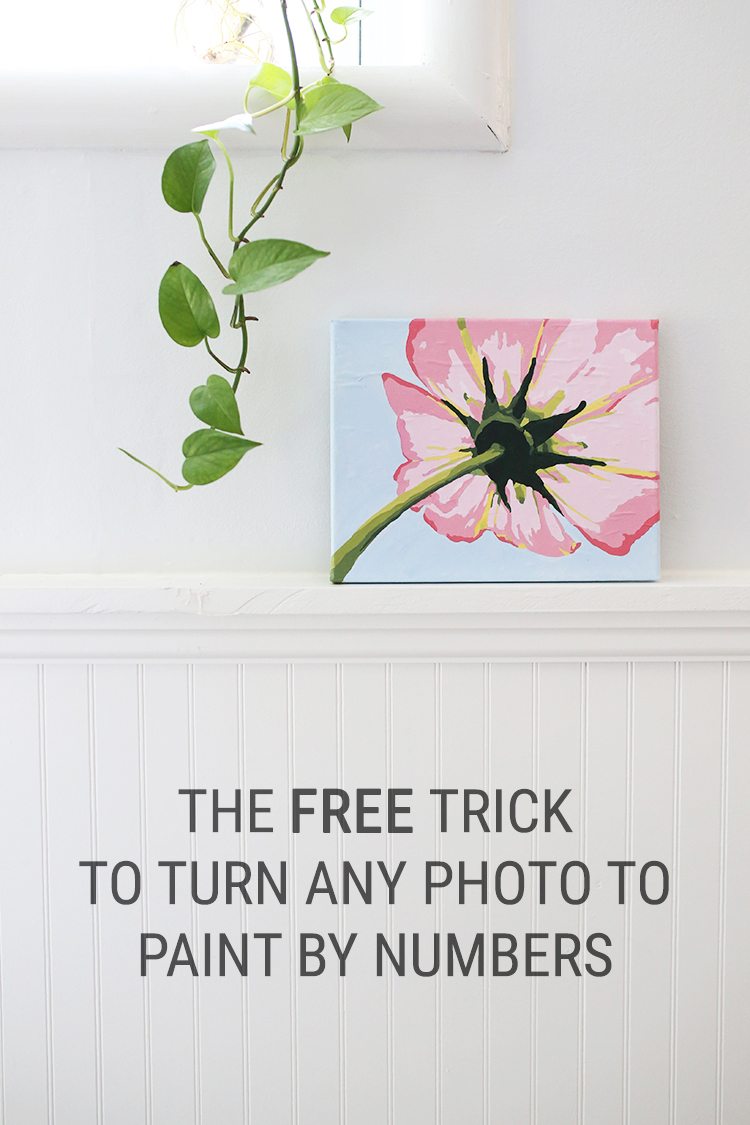 The Free Trick for How to Turn a Photo into Paint by Numbers Shrimp