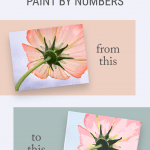The Free Trick for How to Turn a Photo into Paint by Numbers Wall Art