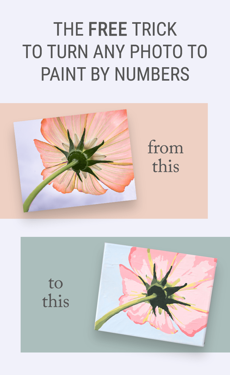 The Free Trick for How to Turn a Photo into Paint by Numbers Wall Art