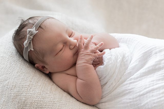 Fresh 48 Newborn Photos - Shrimp Salad Circus