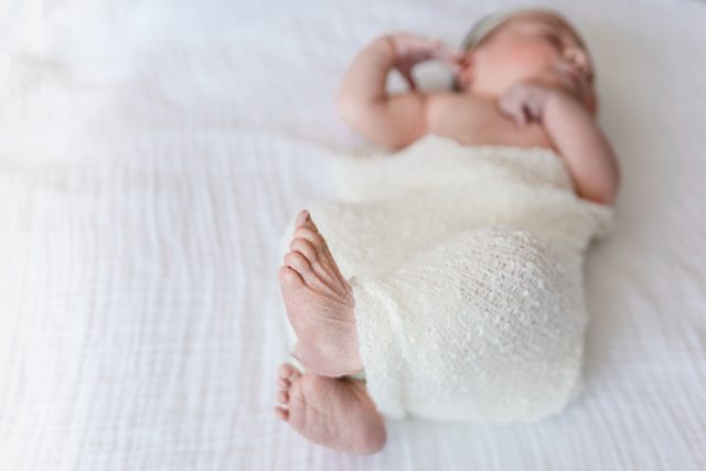 Fresh 48 Newborn Photos - Shrimp Salad Circus