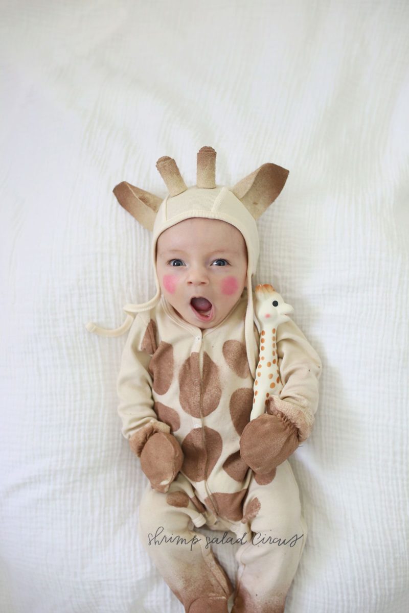 DIY Sophie the Giraffe Baby Halloween Costume image