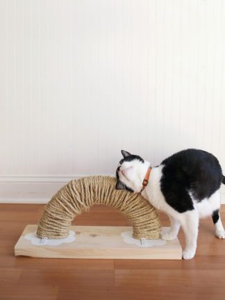 How to Make a Modern Rainbow DIY Cat Scratch Pad thumbnail