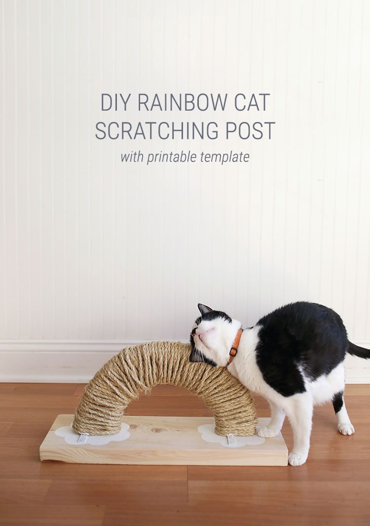 How to Make a Modern Rainbow Cat Scratch Pad With Plans and Free Printable Template