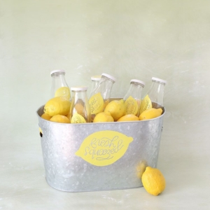 DIY Fresh-Squeezed Lemonade Summer Party Cooler + Free Cricut Template