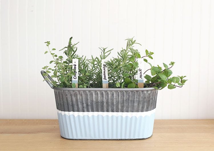 DIY Herb Garden in Galvanized Tub With Hand Lettered Plant Markers