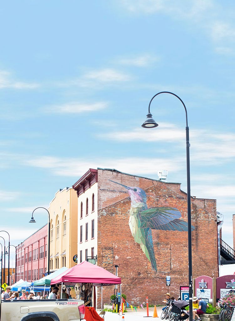 Burlington, Vermont Hummingbird Mural by Mary Lacy