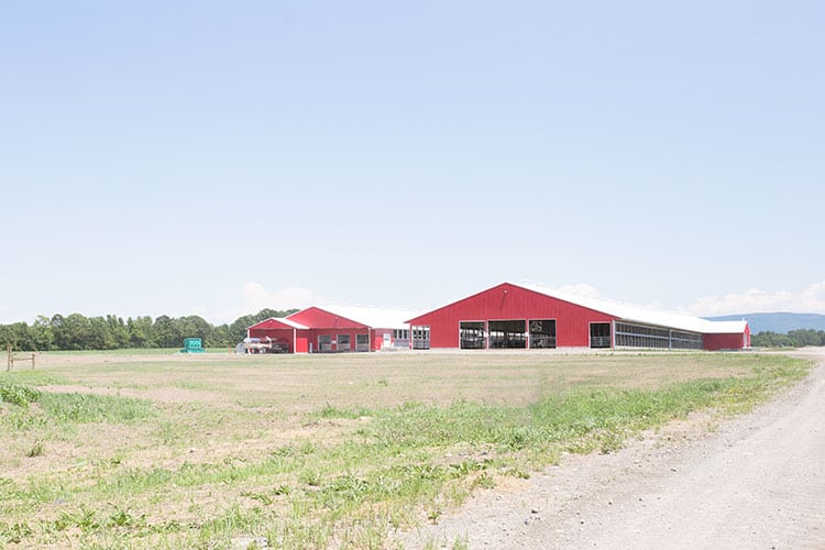 Touring the New Red Barn Cabot Cheese Cooperative Kayhart Brothers Dairy Farm with Milk Cows