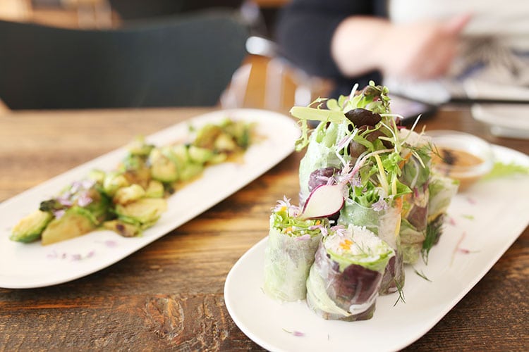 Vietnamese Salad Rolls at Revolution Kitchen Vegetarian Restaurant in Burlington, Vermont