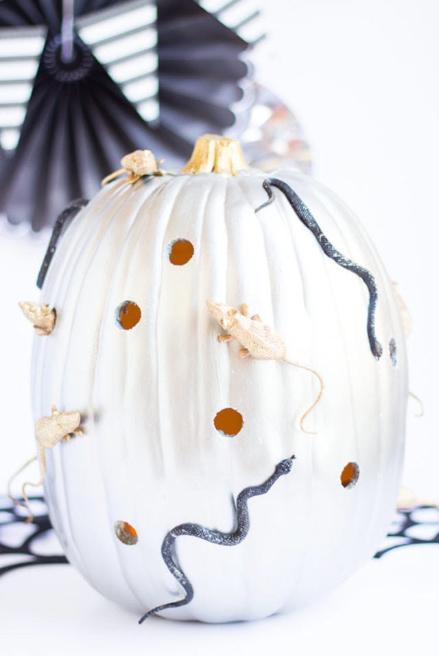 Creepy Crawly Pumpkin Decorating Idea