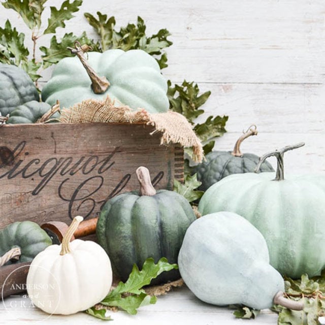 DIY Dry Brushed Chalk Painted Pumpkins