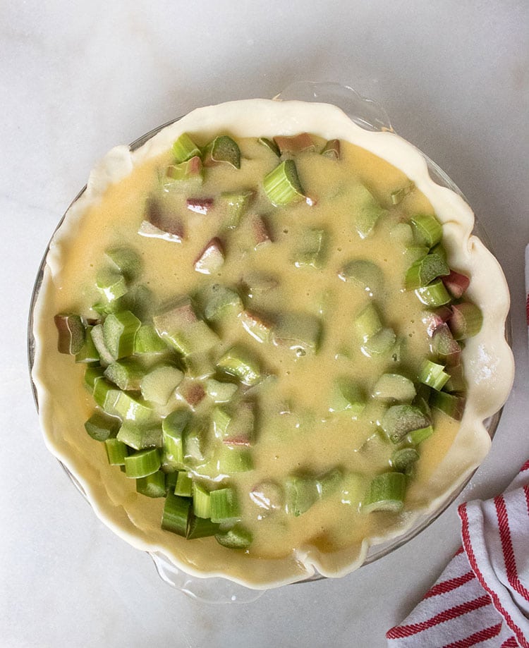 Custard Filled Rhubarb Pie Without Top Crust