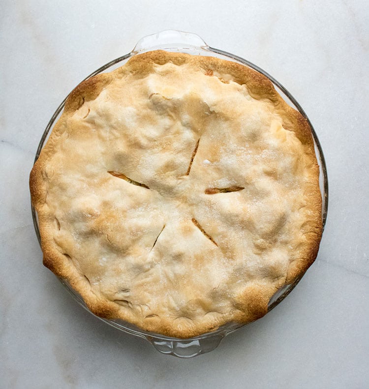 Custard-Filled Rhubarb Pie Recipe - Shrimp Salad Circus