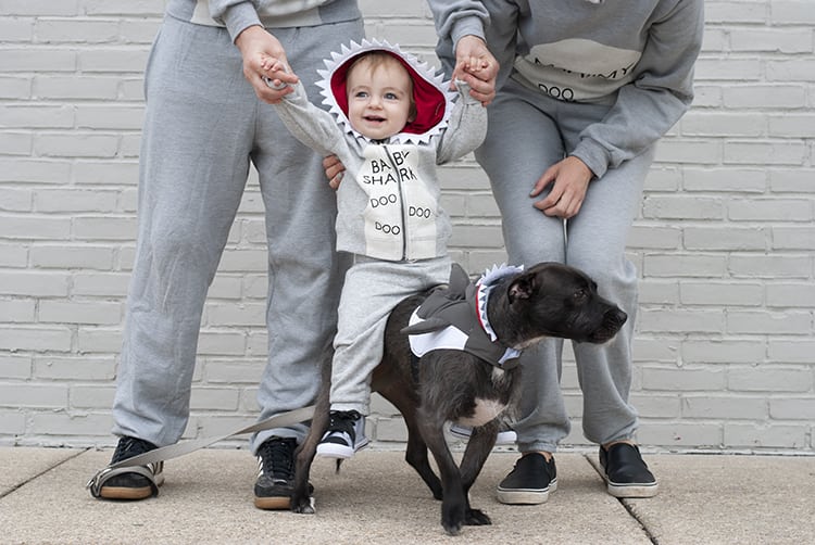 Baby Shark Song DIY Halloween Costume