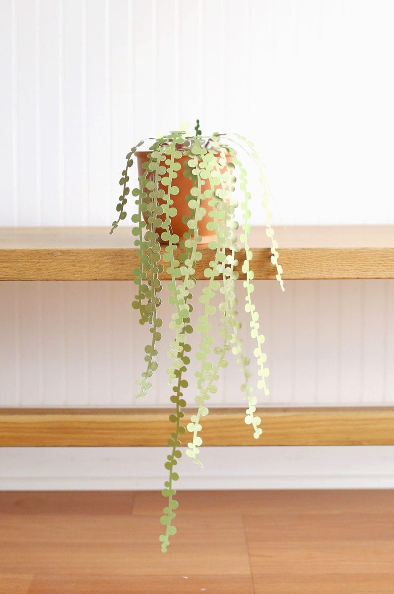 String of pearls DIY paper succulents in a terra cotta pot against a white wall