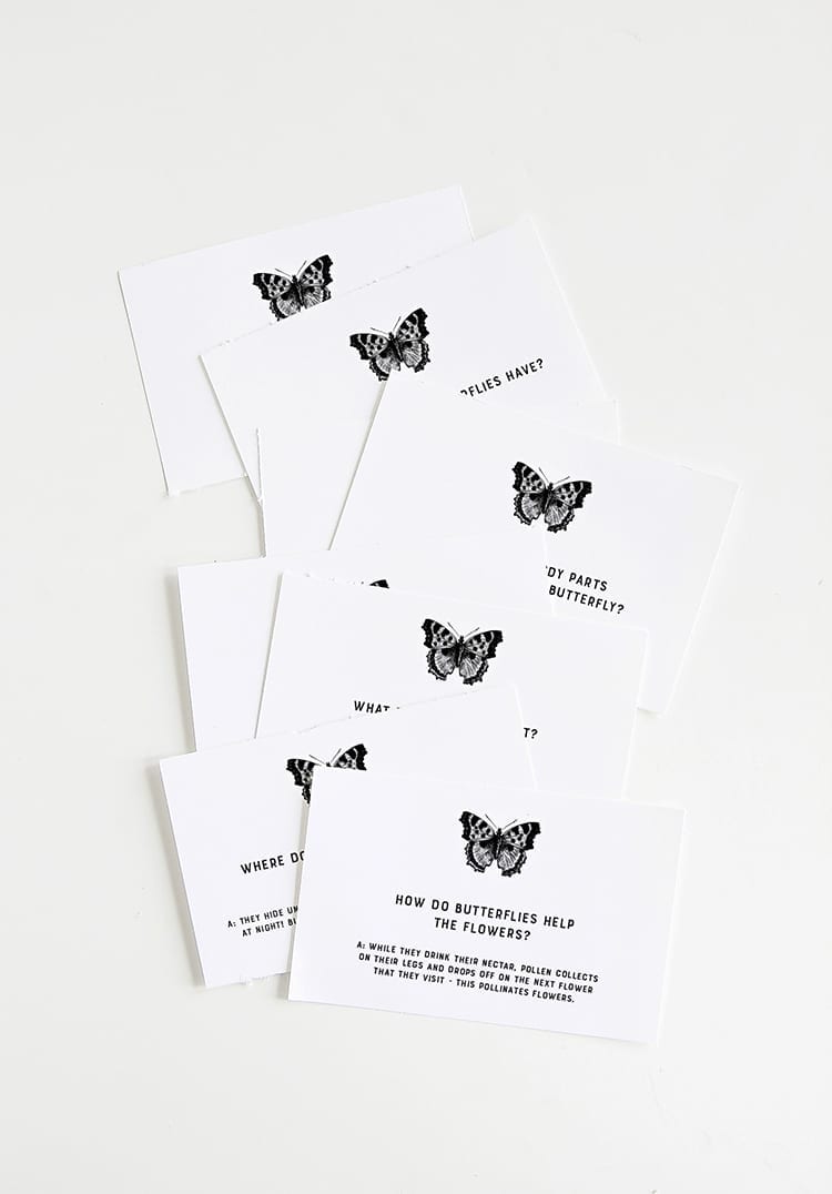 Butterfly Question Cards for Homeschool Preschool