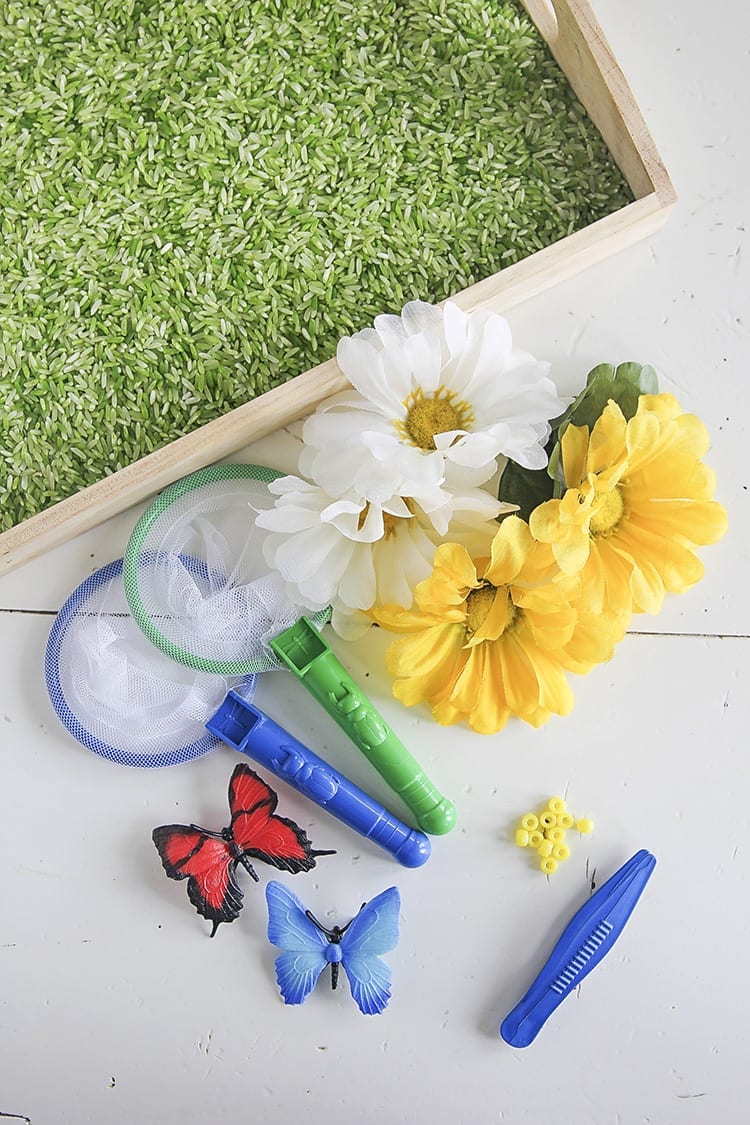 Butterfly Sensory Activities Supplies