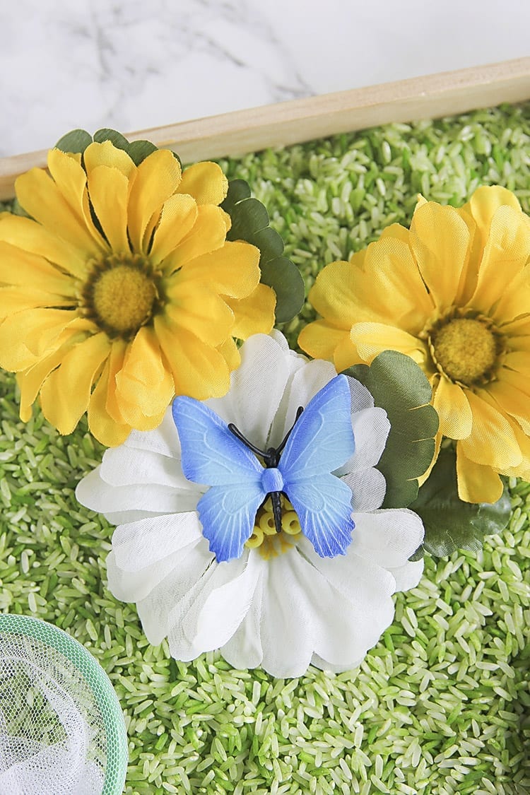 Butterfly Sensory Bin for Toddlers