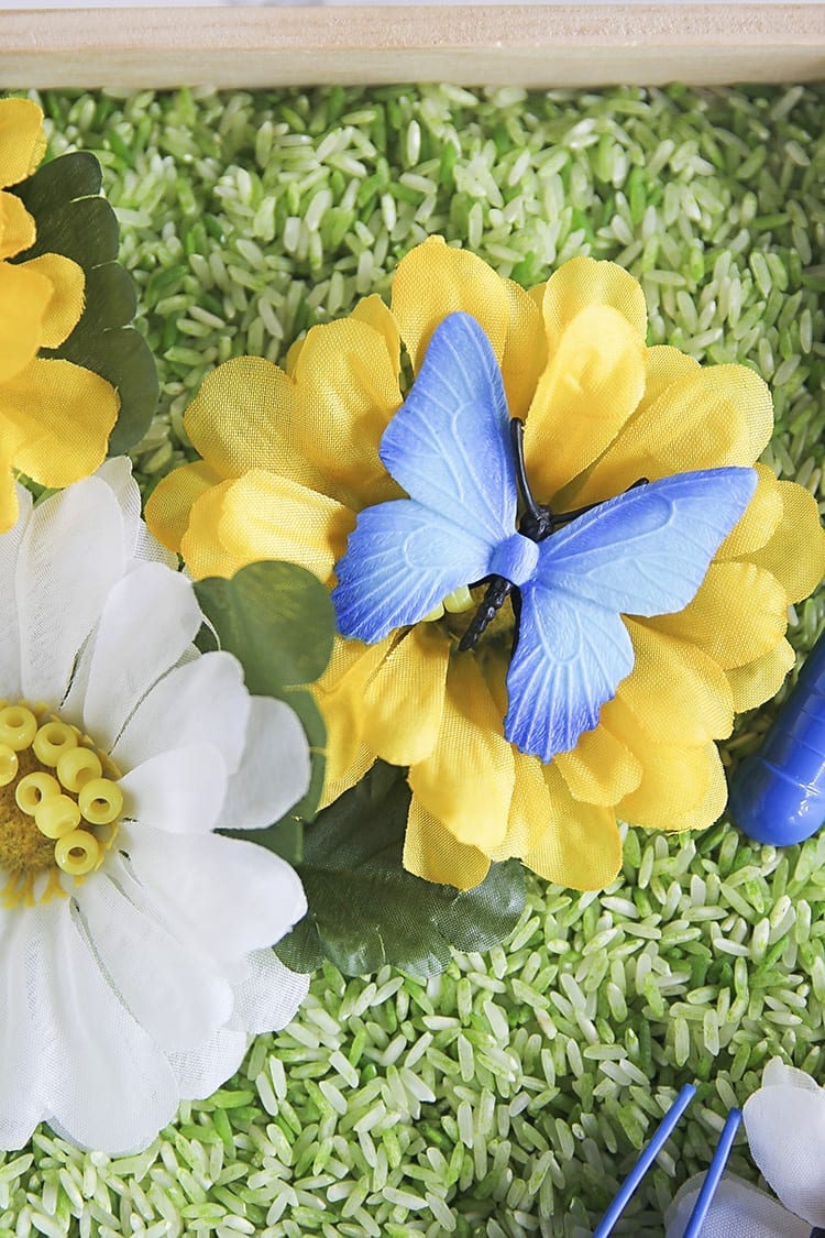 Butterfly Sensory Tray for Preschoolers