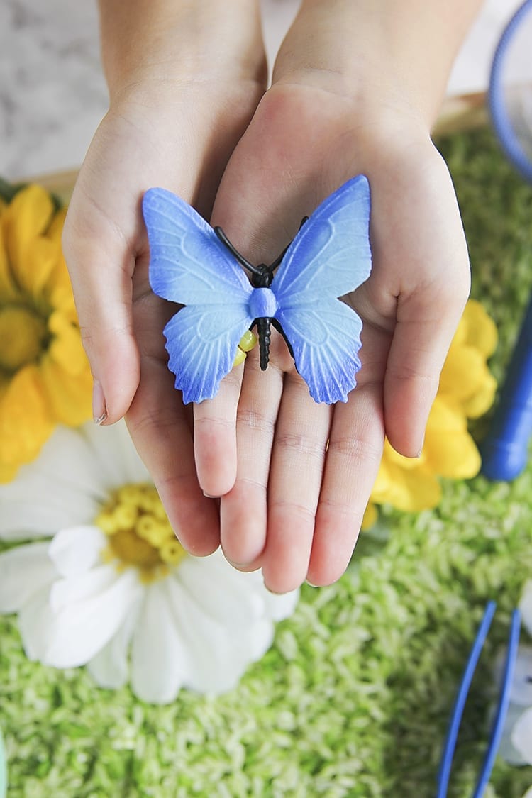 Butterfly Sensory Tub for Preschoolers