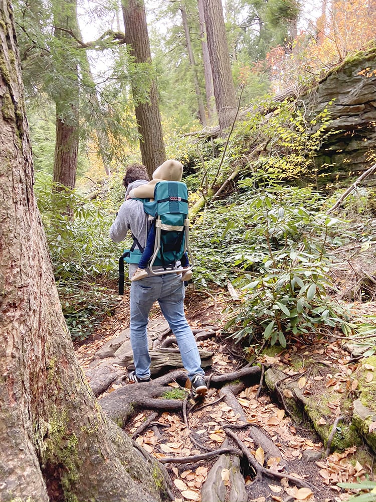 Toddler Hiking Backpack at Swallow Falls State Park in Deep Creek Lake Maryland
