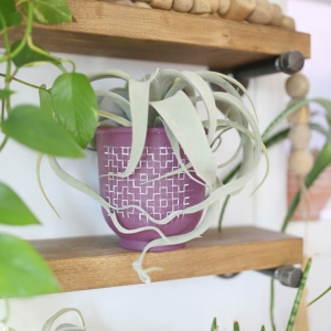 Boho Modern DIY Painted Terra Cotta Pots