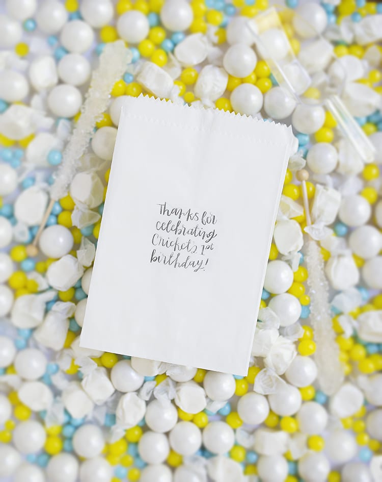 Make adorable custom DIY goodie bags for kids' birthday party favors. They're eco-friendly paper vellum bags, and they're cheap since you're making something simple and super elaborate. These are perfect first birthday party ideas for a candy buffet!