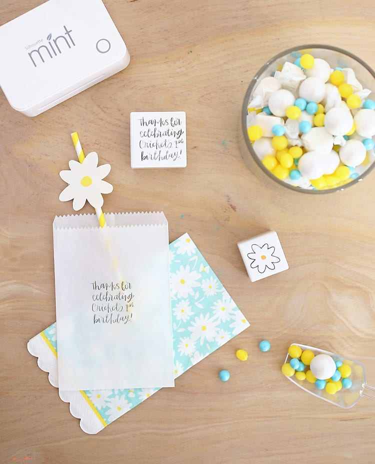 Make adorable custom DIY goodie bags for kids' birthday party favors. They're eco-friendly paper vellum bags, and they're cheap since you're making something simple and super elaborate. These are perfect first birthday party ideas for a candy buffet!