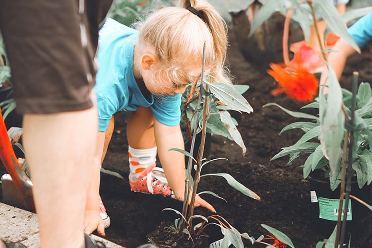 Gardening With Kids and Children