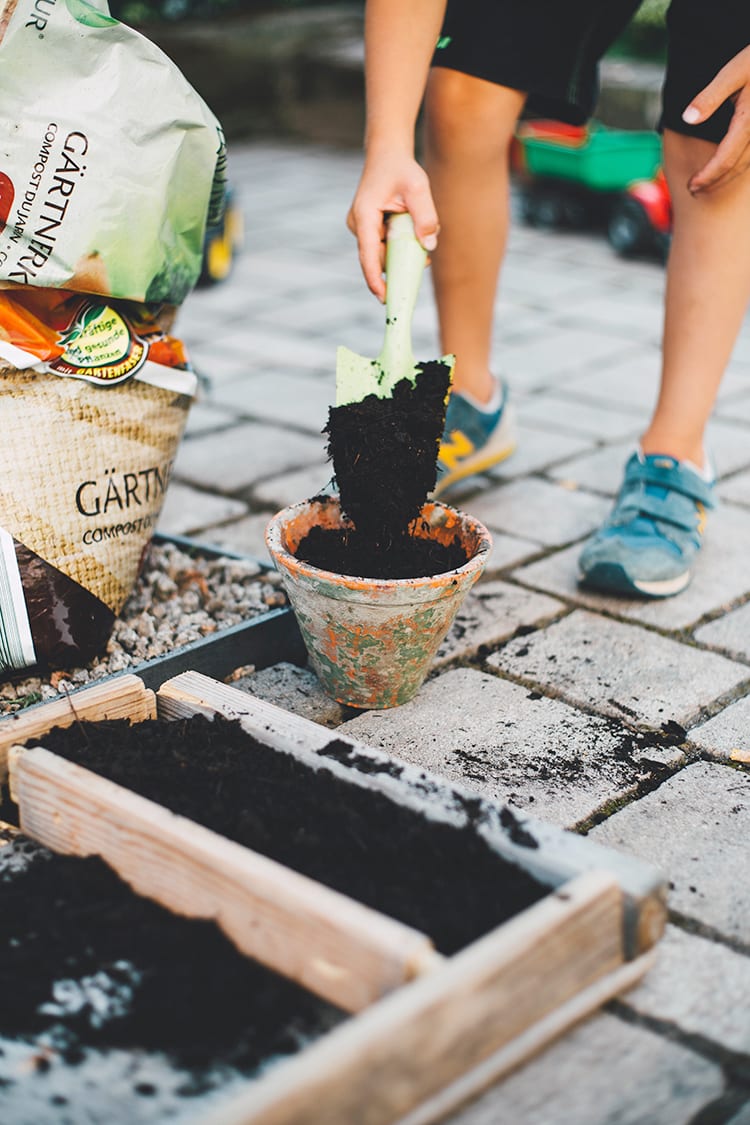 Growing a Planter Garden With Kids